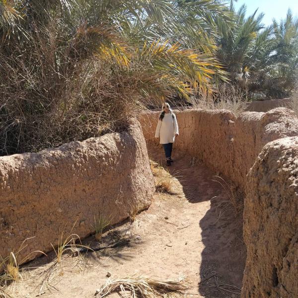 تصویر پروفایل ستاره