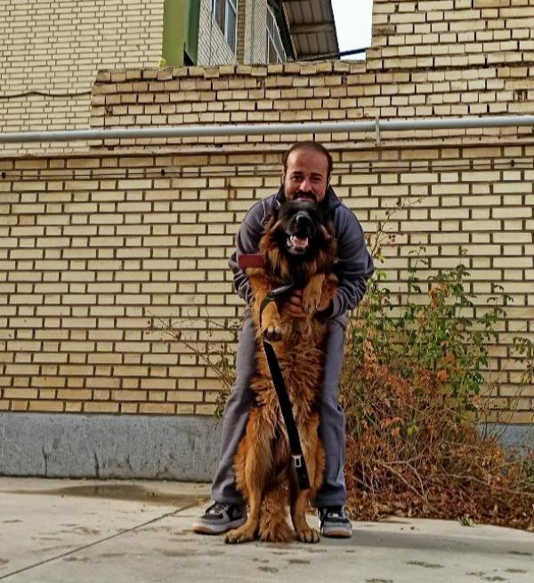 تصویر پروفایل مجتبی